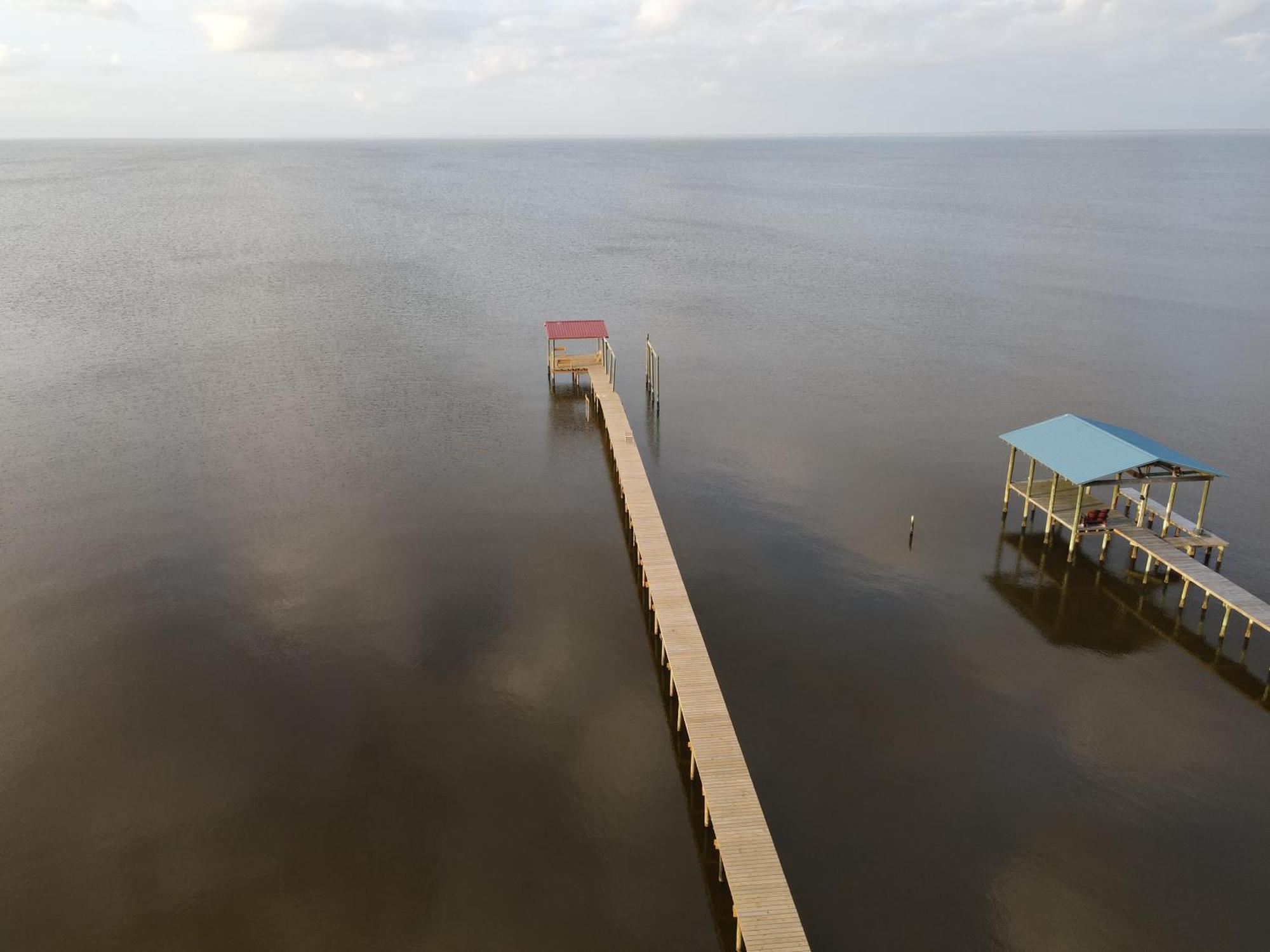 Dolphin Watch For Lasting Memories 海湾海岸 外观 照片